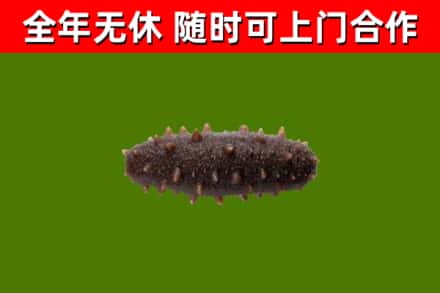 阳泉烟酒回收干海参.jpg
